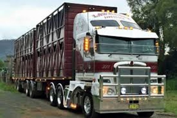 livestock-truck-driver-driver-jobs-australia