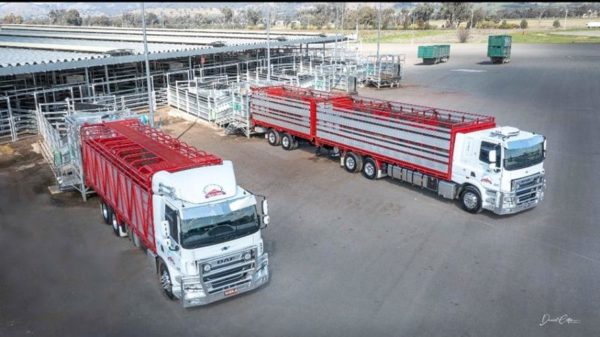 Livestock Truck Driver Pay