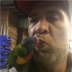 usrsharenginxdriversjobs.com .auwp contentuploads2024021706713286.png