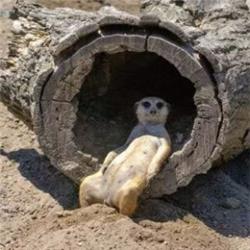 varwwwdriverjobs.com .auwp contentuploads2024051716908480.png