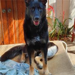 varwwwdriverjobs.com .auwp contentuploads2024091725203463.png