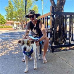 varwwwdriverjobs.com .auwp contentuploads2025041745074850.png