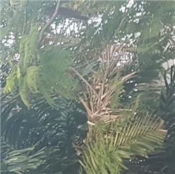 varwwwdriverjobs.com .auwp contentuploads2025071752937233.png